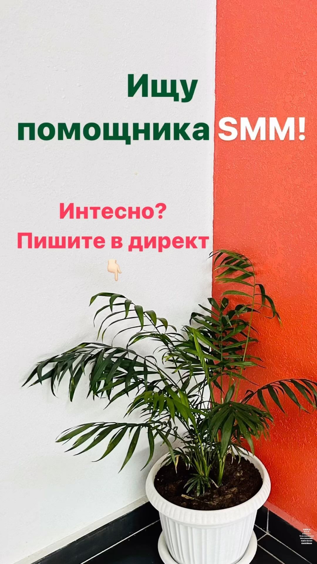 smm_sokolovaanna в LOOKY. . Вы недавно закончили...