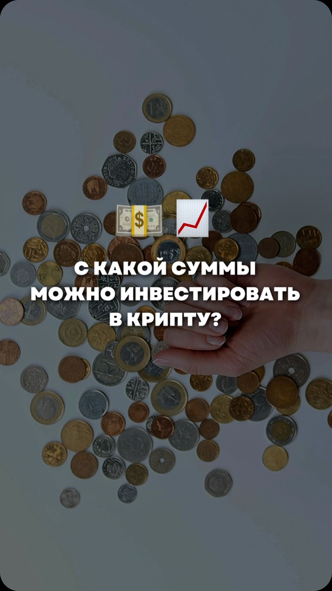 khristoforofff в LOOKY. . Мои ученики по крипт...