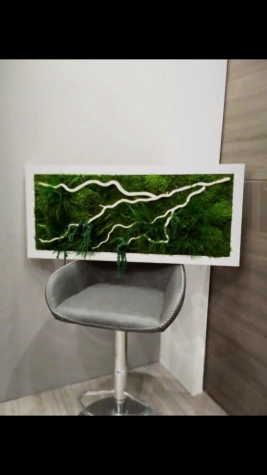 fitodecor в LOOKY. . Природные картины от...