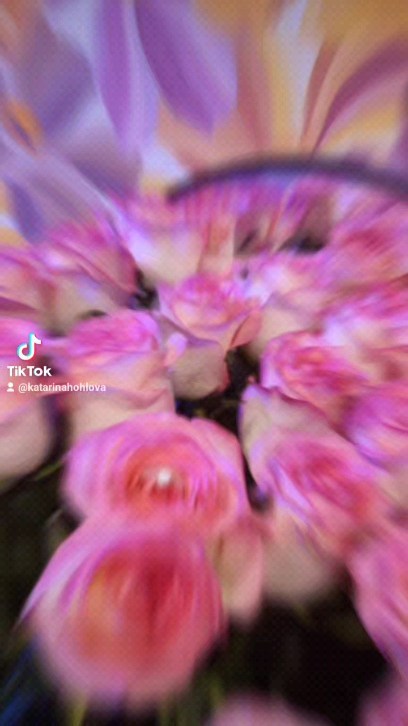 katarinakhohlova в LOOKY. . null