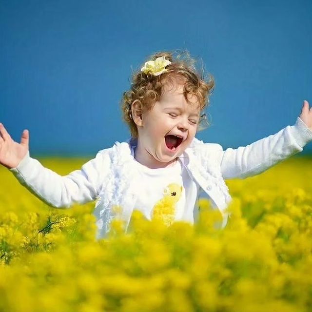 penner.elena в LOOKY. . Здравствуйте, Я , AI...