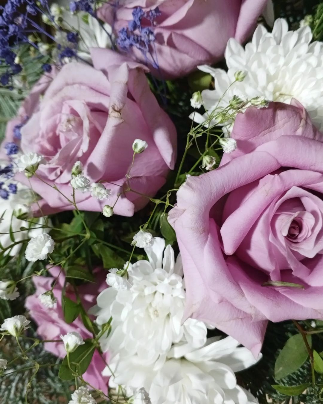 anna_dmitrievna90