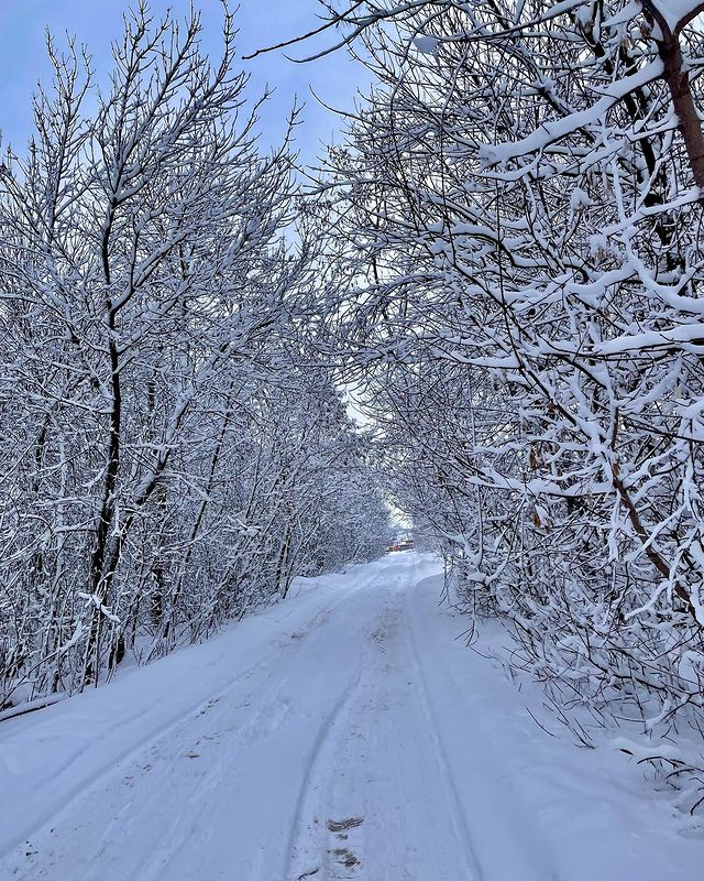 liamixsan в LOOKY. #winter,#russia,#kursk. #winter 2024 #russia...