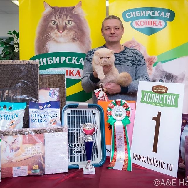 happyfriendcattery в LOOKY. . Мы с котом Happy Fri...