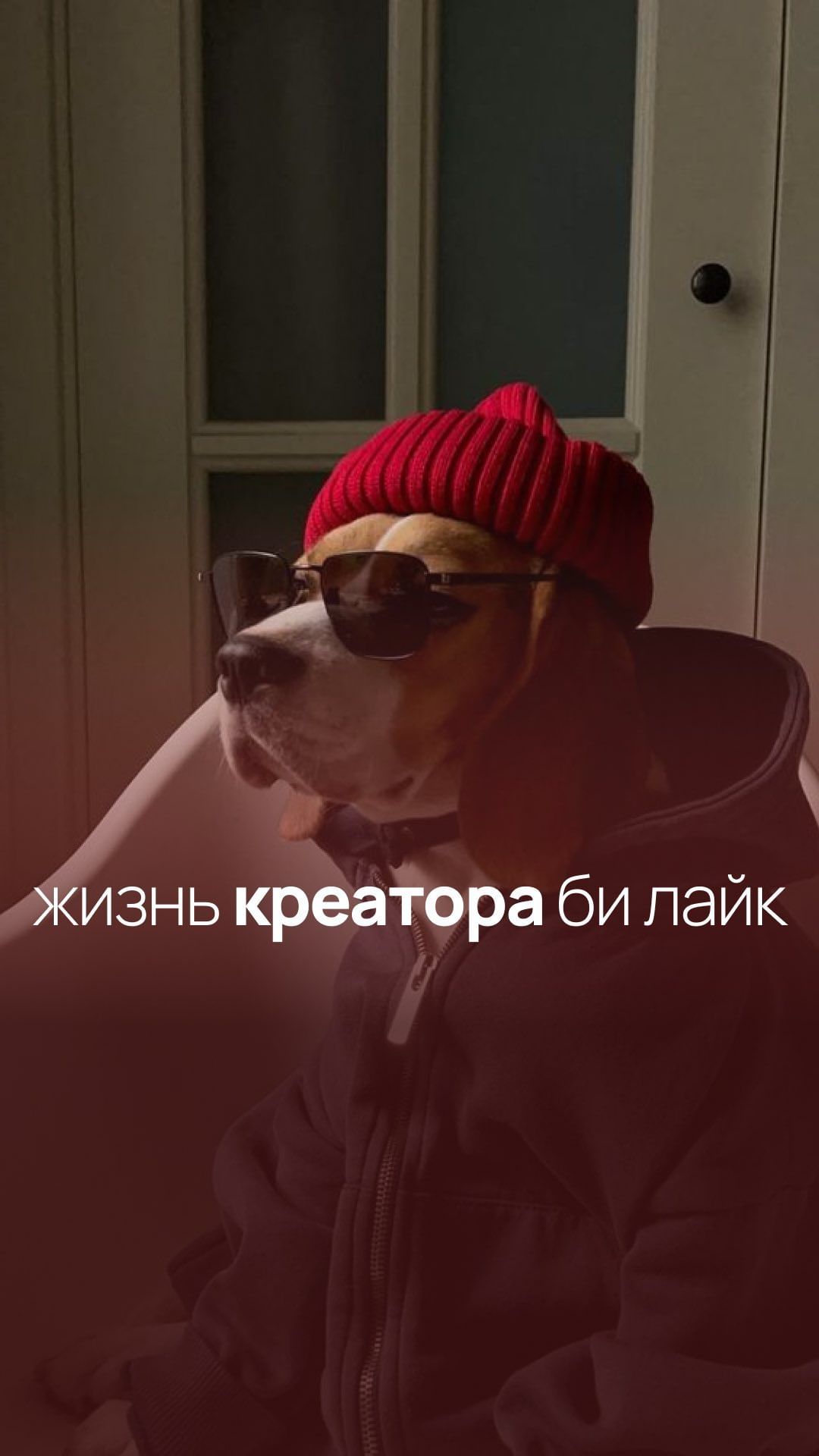blogway_pro в LOOKY. . Боль креатора 🥲 А у...