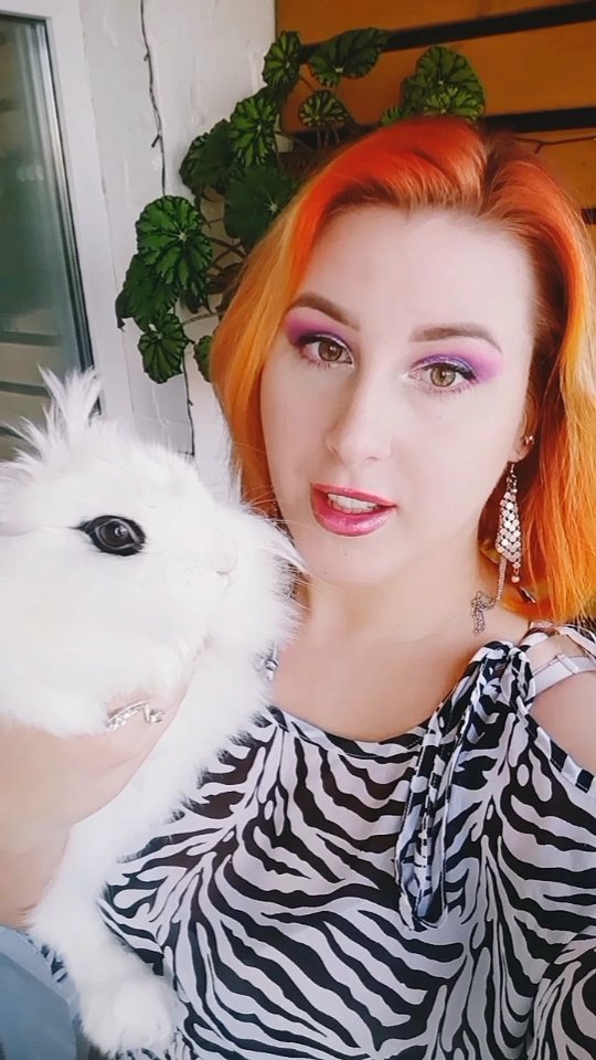 zefirka_bunny в LOOKY. #cuteanimals#rabbitstagram#bunnylover#kawaii#зайка#petlover#милота,#pets#rabbitlover#мимими. Зефирка всем передаё...