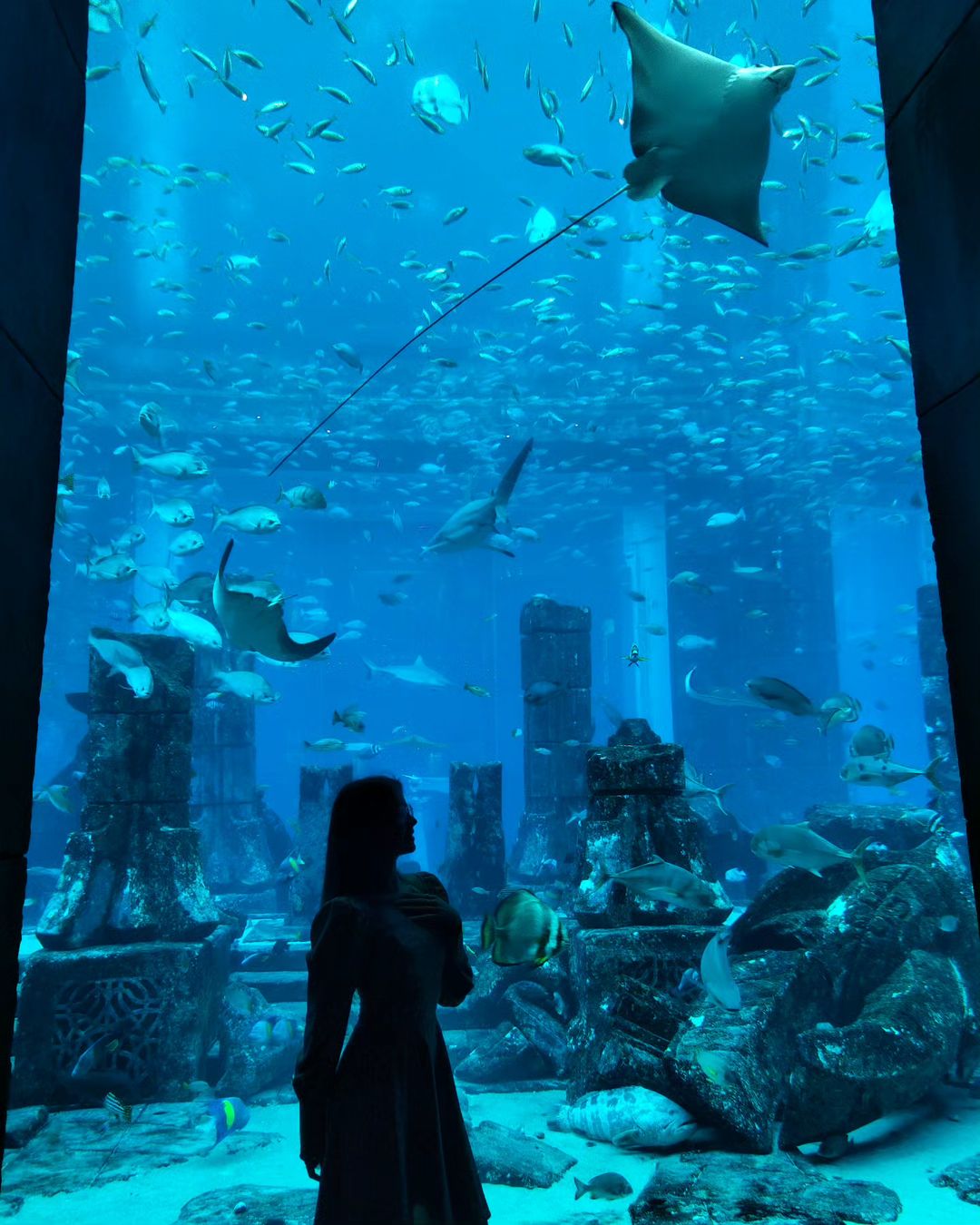 Я Ариэль 🧜‍♀