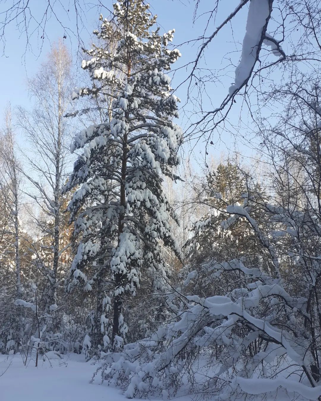 anuttft в LOOKY. . Зима нынче снежная