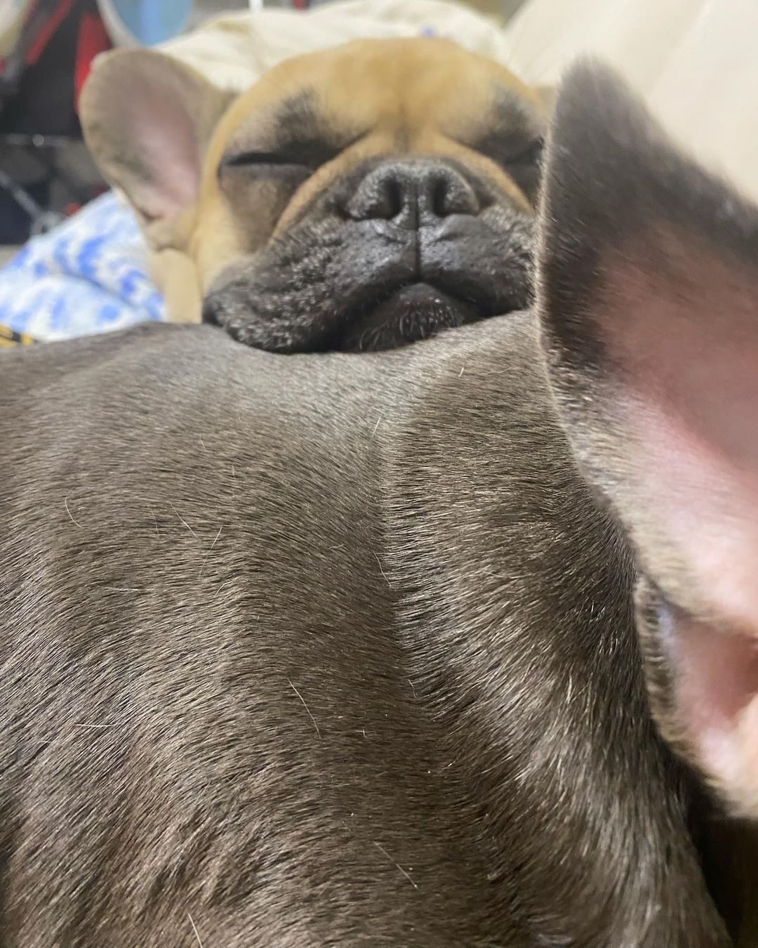 ❤️