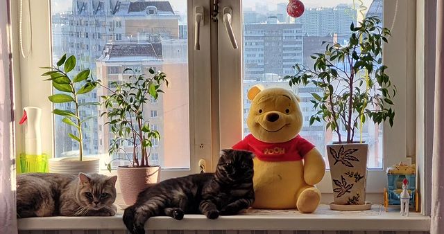 v_kombaroff в LOOKY. . Утренний пейзаж