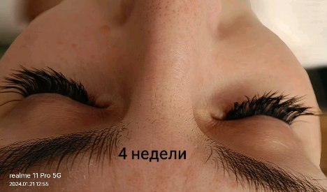 alenasobolevskaya_ в LOOKY. #3d,#гомель,#lashmaker,#lash,#lashes,#мастерпонаращиваниюресниц,#начинающиймастерпонаращиваниюресниц,#ищумоделей,#наращиваниересниц,#модель,#модельгомель,#мокрыйэффект,#лиса,#изгибl3dреснички,#изгибl3dреснички,#mизгиб. лисичка в 3д мокрый ...