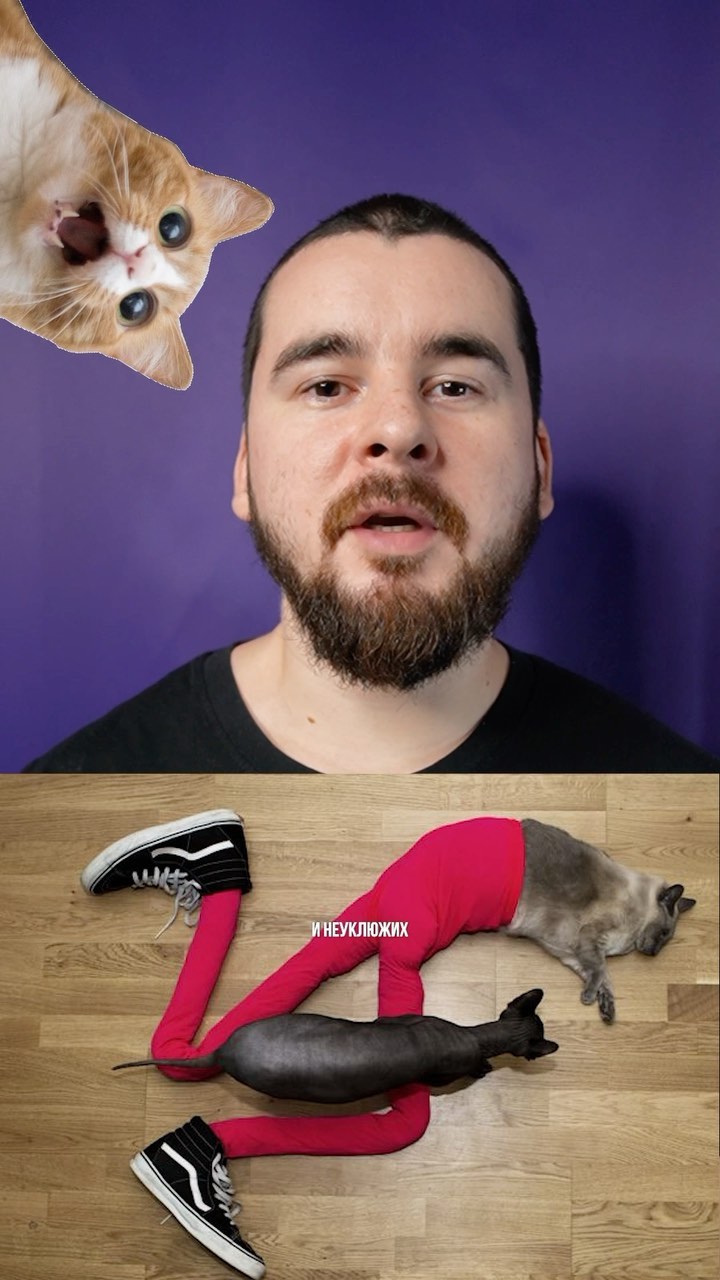 topfackt в LOOKY. . Всего 2 факта о живо...