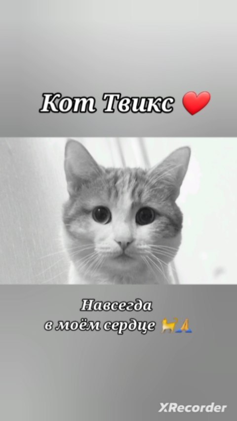 ksesha1804 в LOOKY. . Навсегда в моём серд...