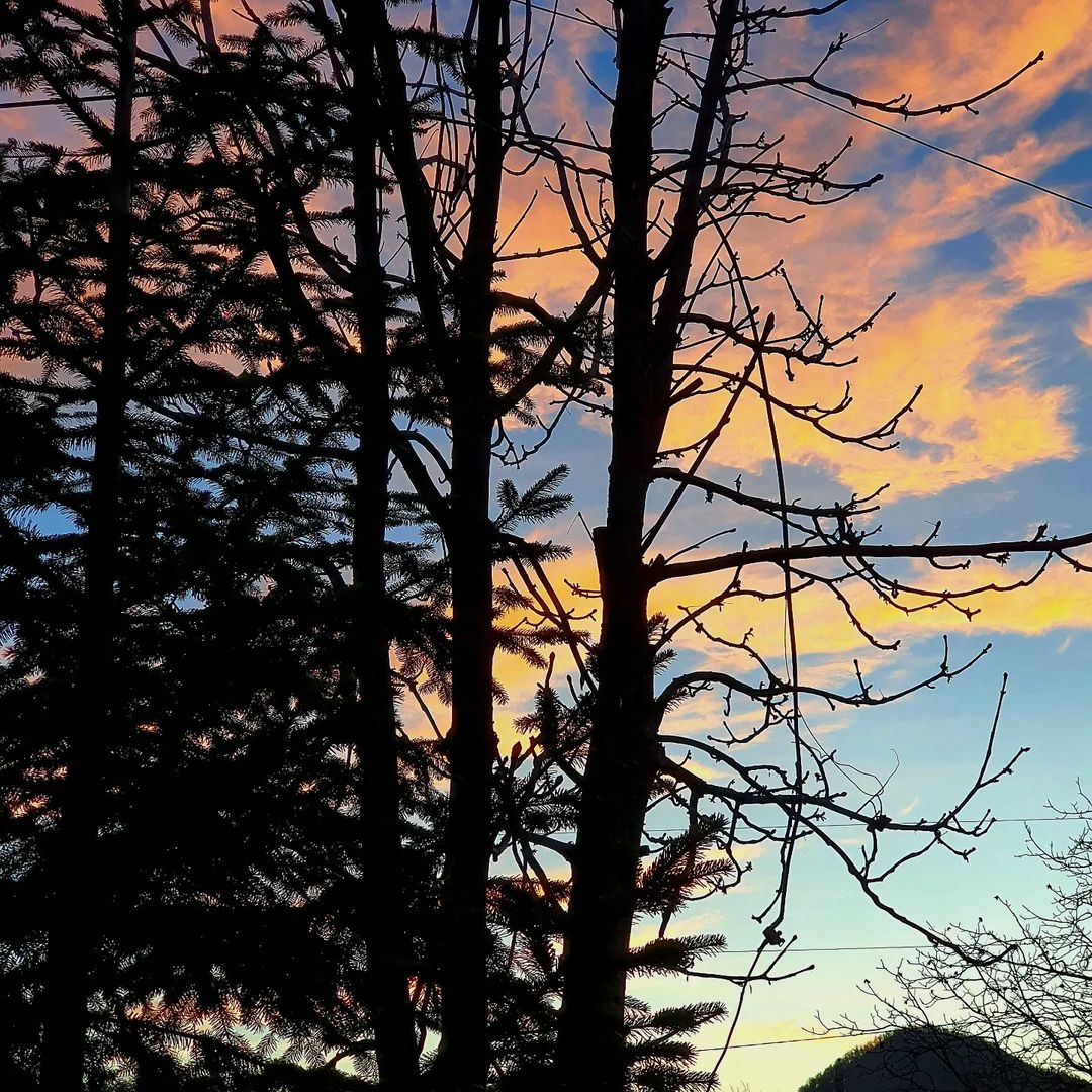 alla_foma2 in LOOKY. #sunset,#рассвет. Деревенский рассвет
...
