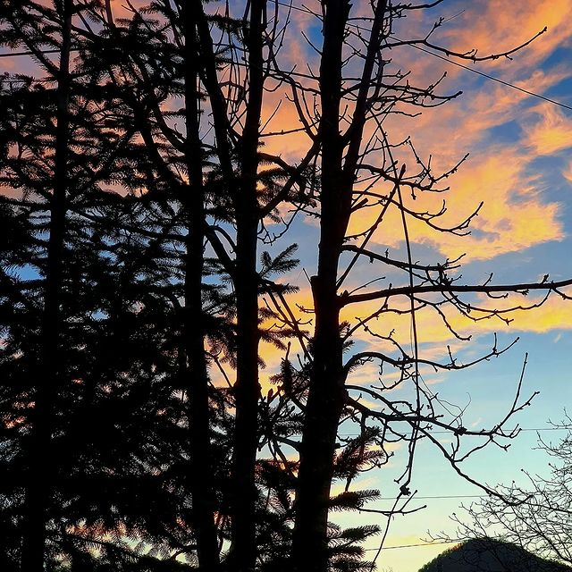 alla_foma2 в LOOKY. #sunset,#рассвет. Деревенский рассвет
...