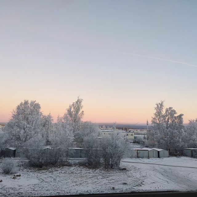 tsvetik79 в LOOKY. . Январь_2024