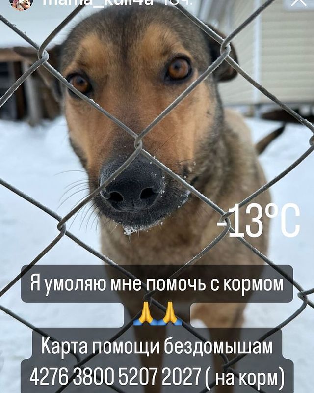 martyns_family в LOOKY. . Нужна помощь в покуп...