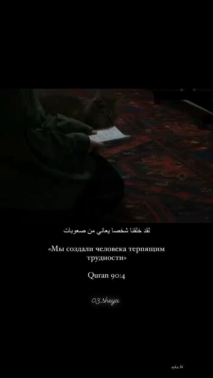 03n003 в LOOKY. . Также передаётся, чт...