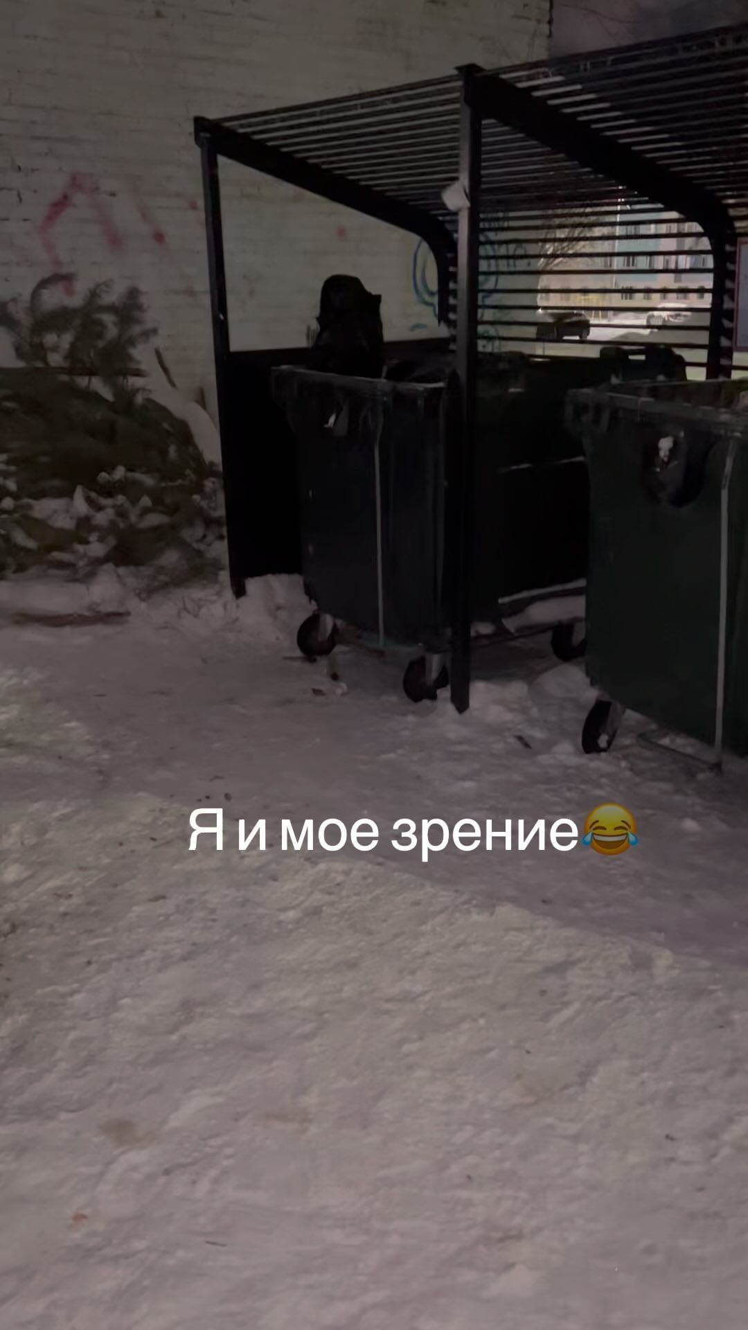 reginazifur in LOOKY. #юмор😂,#зрение,#пакет. Еще думаю,почему он ...