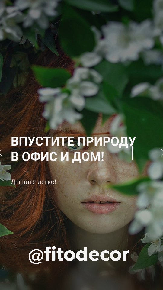 fitodecor в LOOKY. . Студия Фитодекора «R...