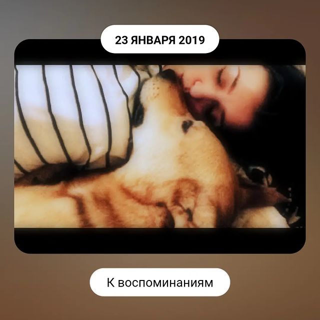 kiss_amnesia_kiss в LOOKY. . null