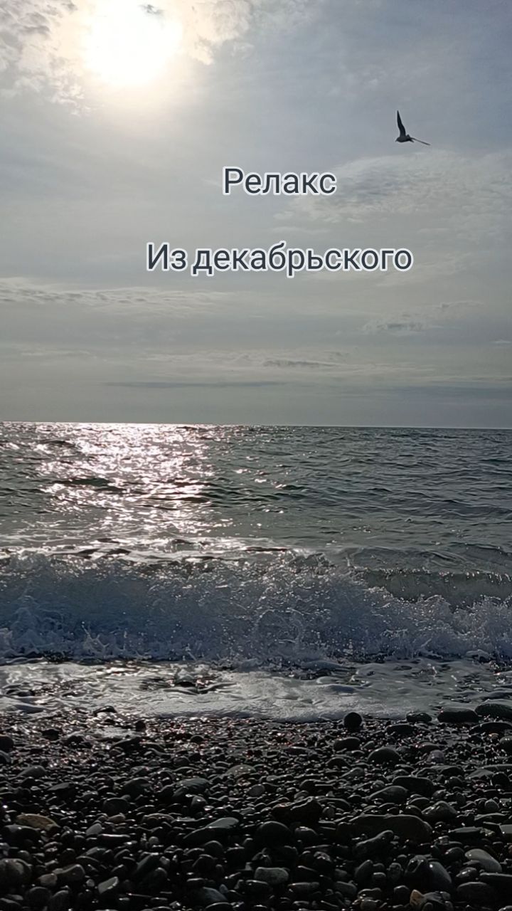 albinahara в LOOKY. #черноеморе,#сочи,#сириус,#россия. #черноеморе #сочи #с...