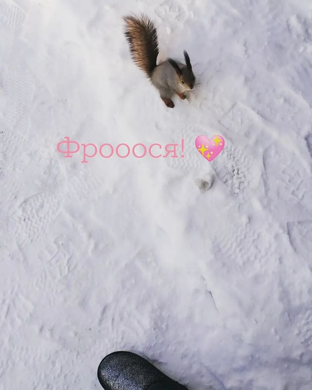 olesya_medvedeva__ в LOOKY. . Вот такая красотка ж...