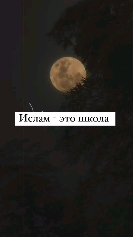 _fatima_musaeva_05 в LOOKY. . null