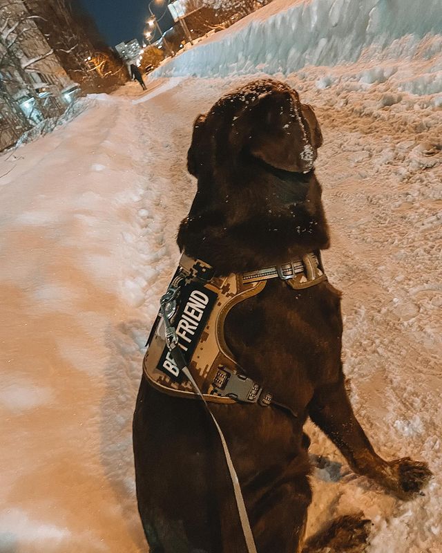 bugor.fit в LOOKY. . Best Friends 🐕❤️ об...