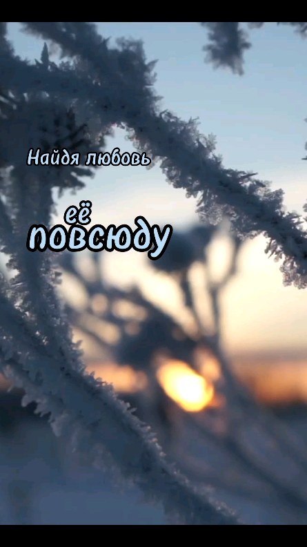 romaha_lisss в LOOKY. . null