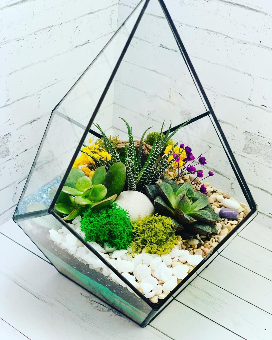 Не могу налюбоваться на этого красавчика 🌿

Флорариум , в форме капля от @by_ivankiselev  получился в таких ярких , но природных оттенках . 

Настоящий островок живой природы , когда за окном снежно и холодно 🌿