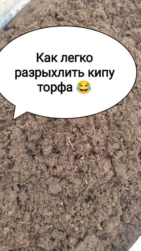 mylti_flora в LOOKY. . null