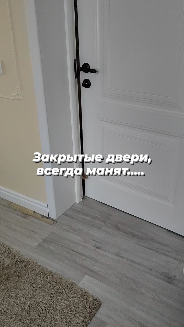 alaistel в LOOKY. . null