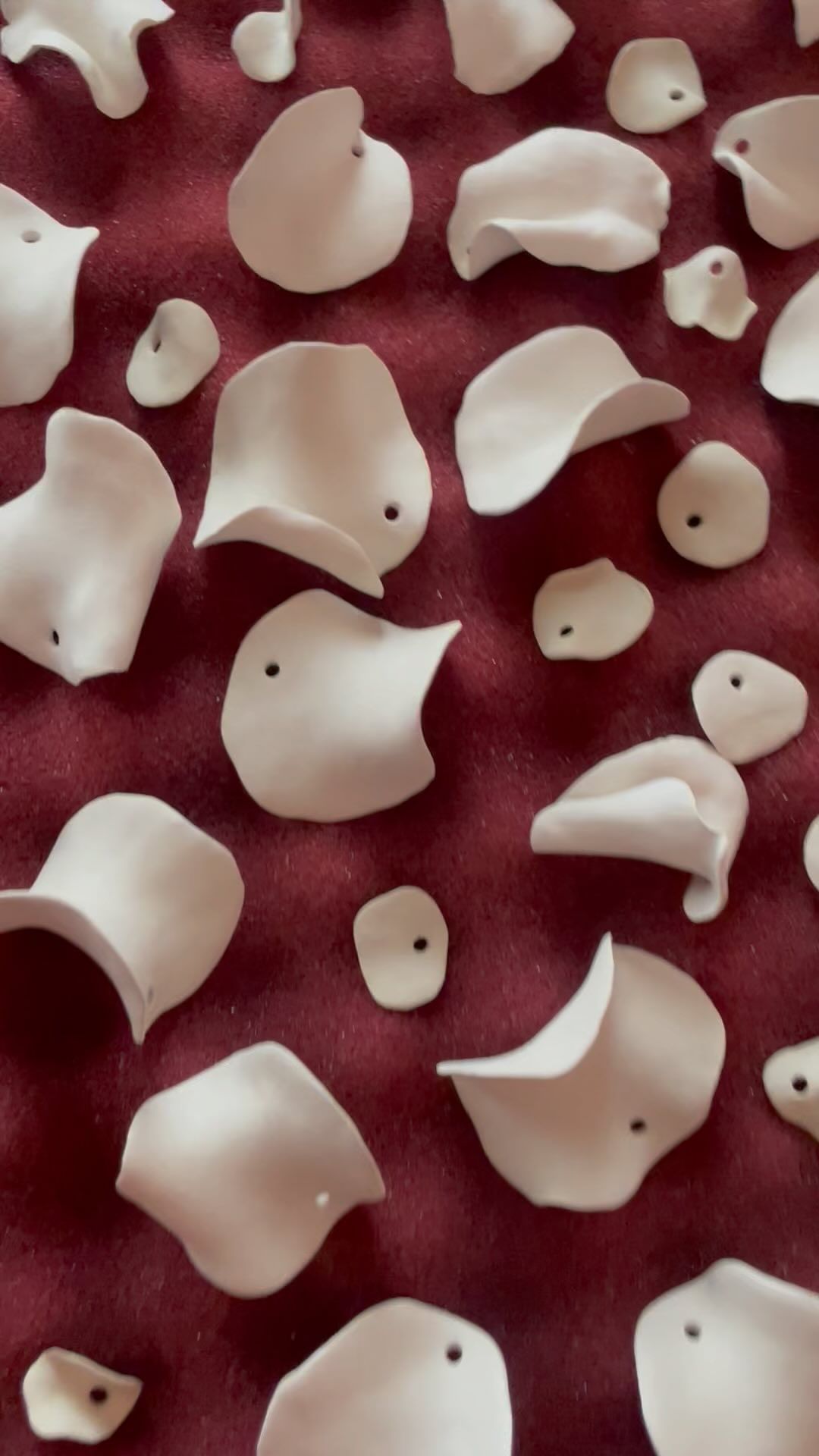 Ksenia • Visual artist в LOOKY. #porcelainartist,#porcelainatelier,#beloeatelier,#porcelainpetals,#фарфорист,#ательефарфора,#фарфоровыелепестки. • белое ателье •
.
....