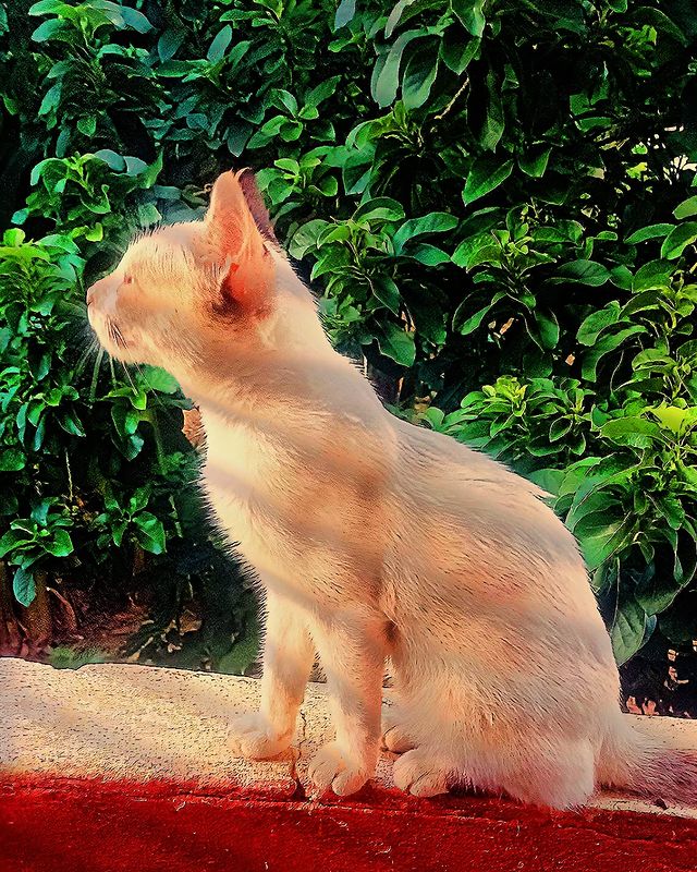 skylittlew в LOOKY. . Natureza ❤️