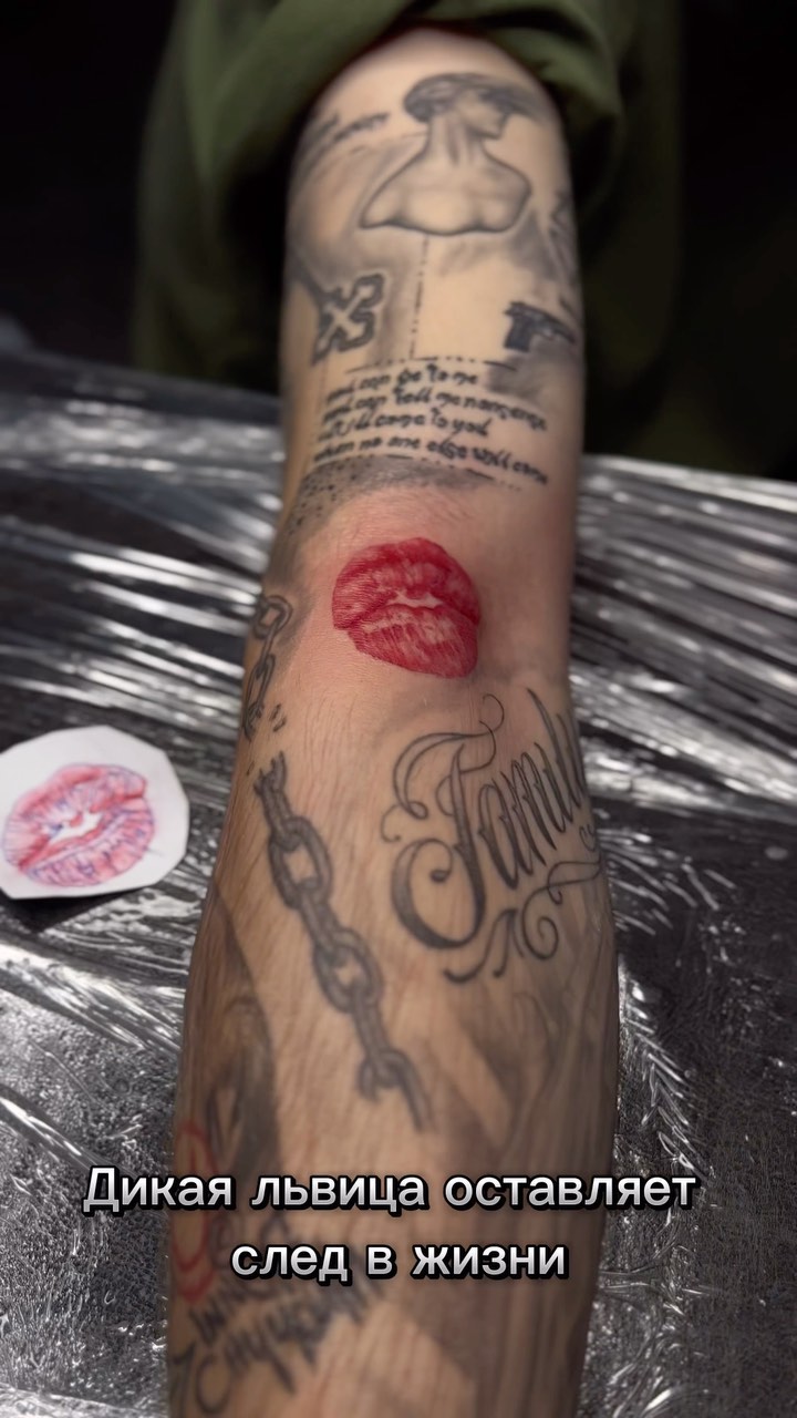ermaktattoo666 в LOOKY. #дикаяльвица,#ермактату,#татуировкамосква,#москва,#татустудиямосква. Ермактату, это леген...