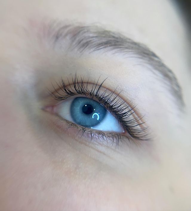 bvi_brows_lami в LOOKY. . null