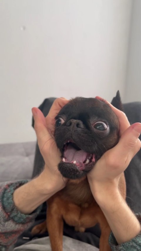 yoshik_dog в LOOKY. . Что эти кожаные себе...