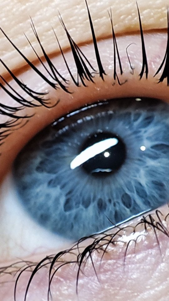 lashes_pro_vzglyad в LOOKY. #ламитемрюк,#ламиресниц,#ламилюбовь,#ламинированиересниц,#ламитемрюк. Лами ресниц 
Валик -...