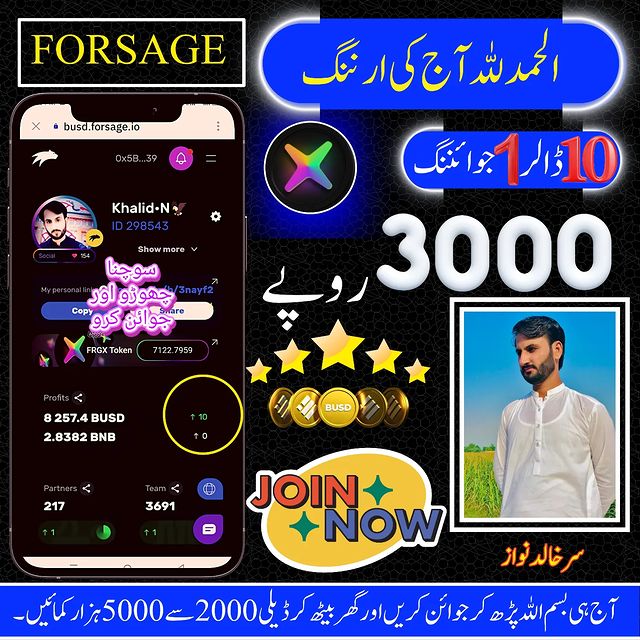 earnmoneyforsage в LOOKY. . *_گِرتے نہیں وقت کی ...