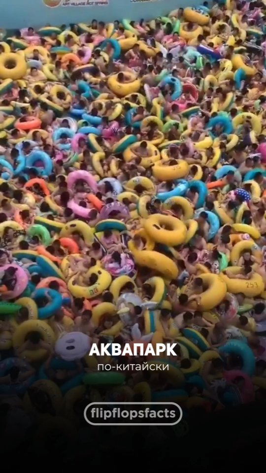 flipflopsfacts в LOOKY. #интересныефакты,#фактысовсегомира,#познавательно,#познавательное,#интересное,#познавательныефакты,#удивительныефакты,#удивительное,#удивительноерядом,#фактыосебе,#интересно,#фактывфото,#факты,#топовыефакты,#фактыистории,#полезныефакты,#полезное,#удивительныефакты,#удивительное,#фактыфото,#фактывфото,#интересныефакты,#интересное,#топ,#рек,#рекомендации. Подписывайся!
👉👉👉...