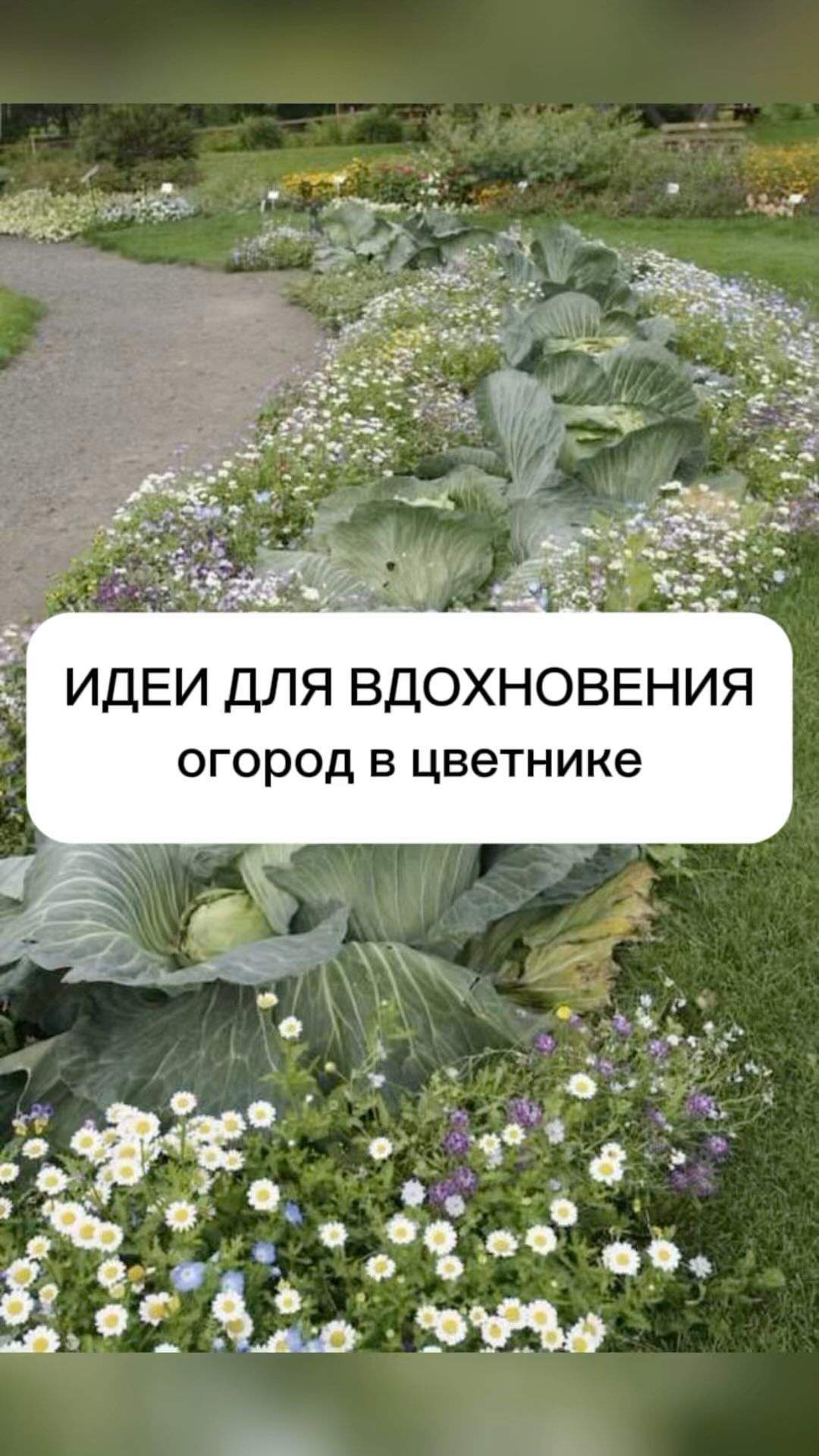sad_da_vinchi в LOOKY. . Отмечай того, кому б...