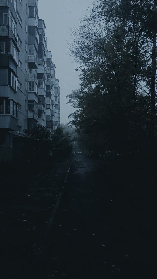 Rodaleksijj Petrucelli в LOOKY. . null