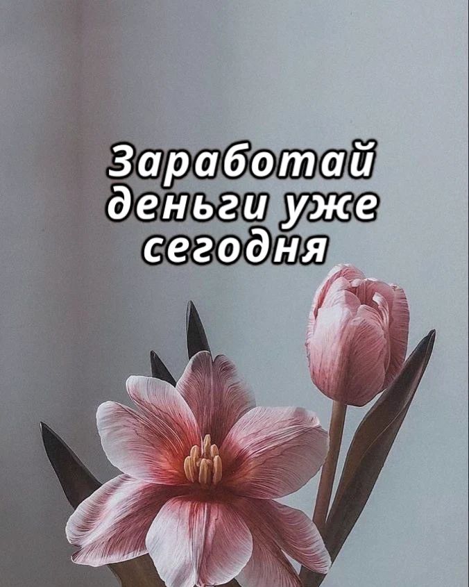 viktoryia.kushnerova в LOOKY — Постоянно находишься в состоянии "как выжить до з/п ещё 7 дн