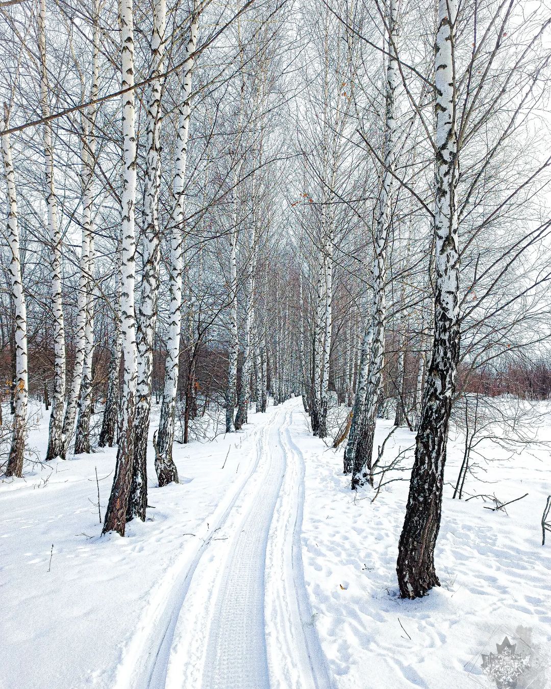 #winter #forest #snow #sky #nature #naturephotography #naturelovers #bhfyp #like #follow #followers