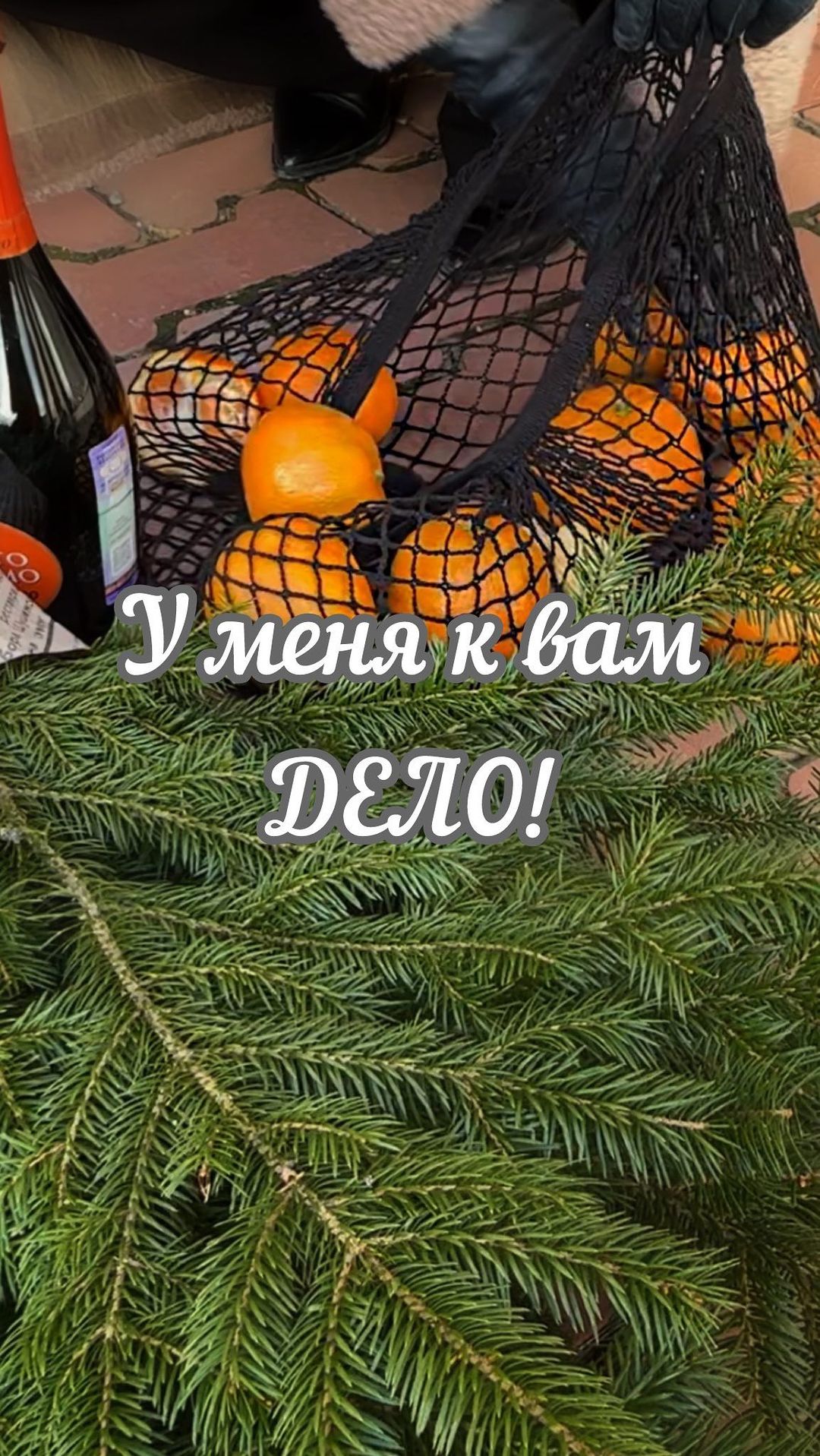 elena_drachyova в LOOKY. . У МЕНЯ К ВАМ ДЕЛО!

...