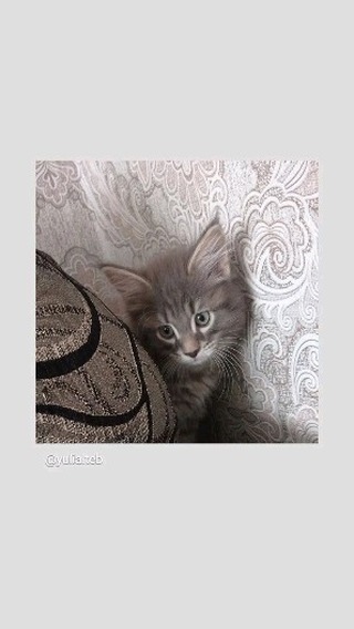 yulia.teb в LOOKY. . 🫣