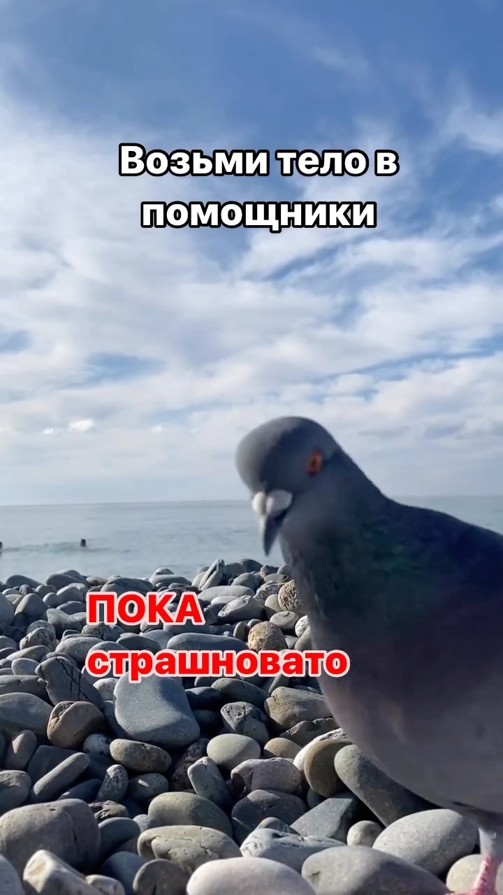 olgalebedevaprobrend в LOOKY. #личныйбренд,#ольгалебедева,#продвижение,#николаймитяшин. ТЕЛО НЕ ВРЕТ и если ...