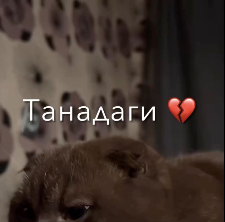 25o3_hr в LOOKY. . 😢🫀