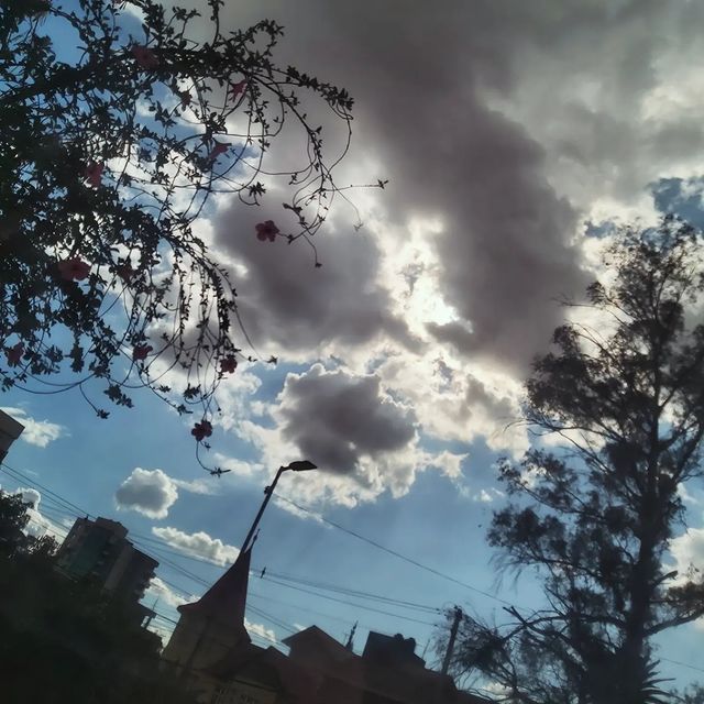 gab_ysegovia в LOOKY. . 🍃 1, 2, 3, 4… Si es...